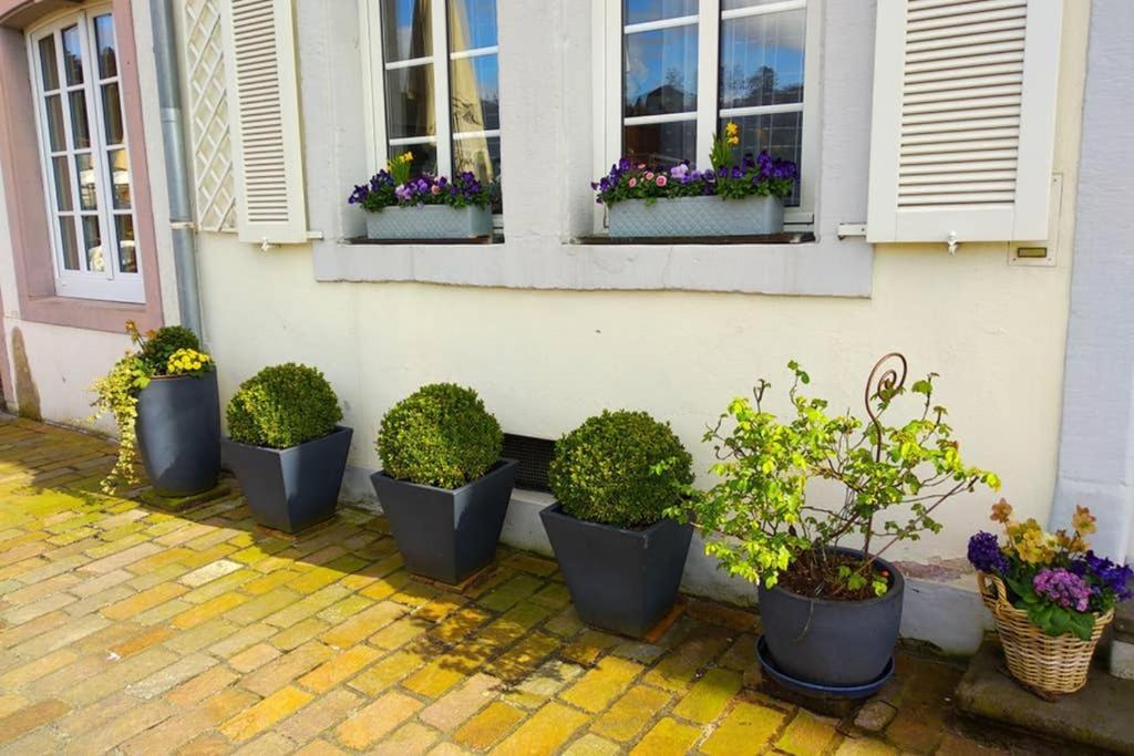Pearl Studio Apart - King Bed - Netflix - Projector - Fast Wi-Fi Trier Buitenkant foto